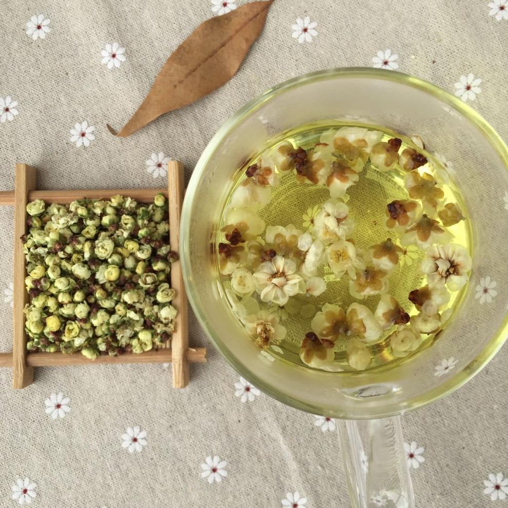 白梅花茶的功效与作用——禁忌都有哪些?_茶类知识_茶学堂_花茶工场